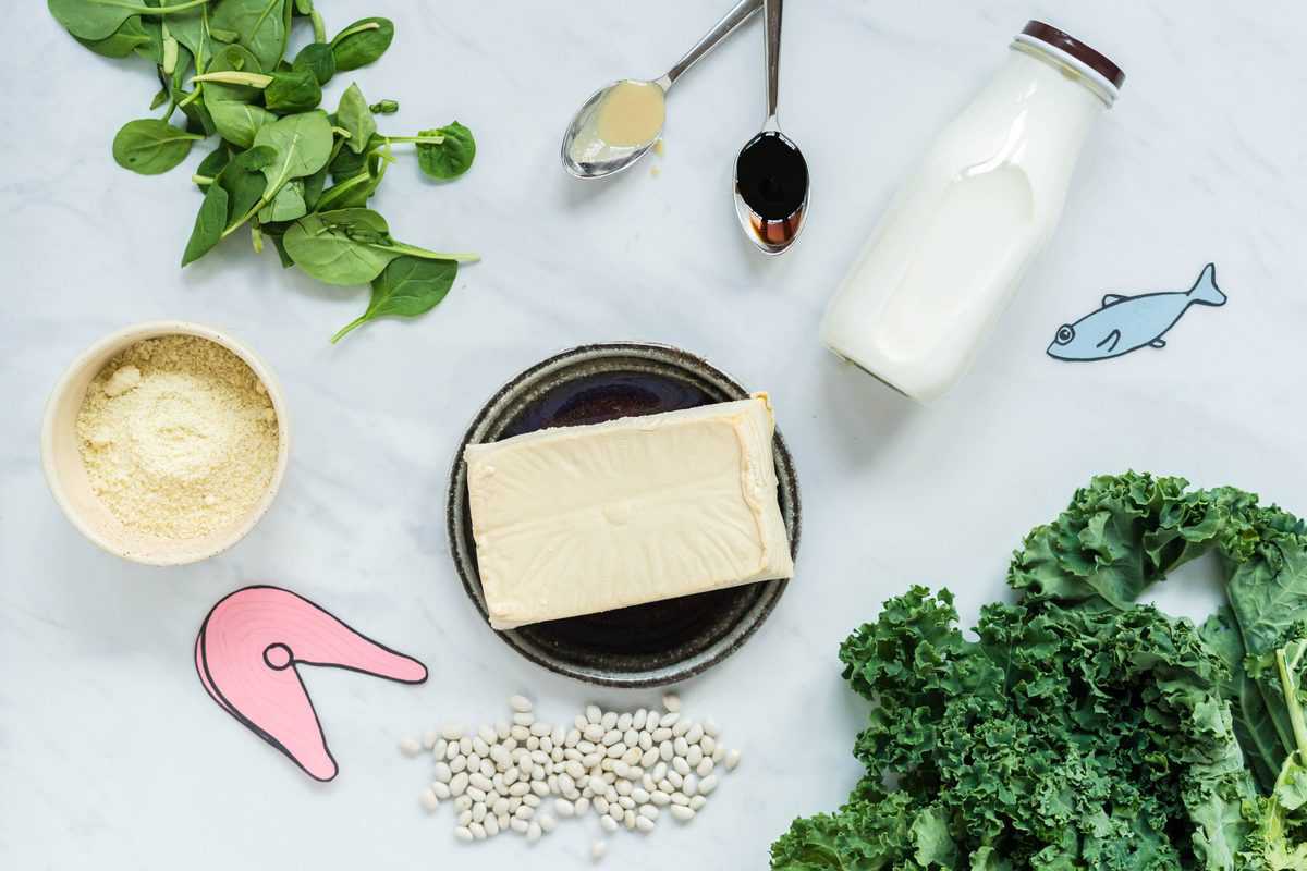 Flat lay image of non dairy calcium foods for babies and toddlers